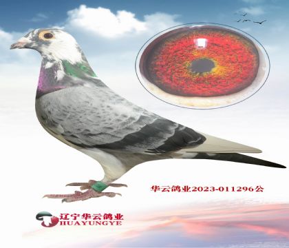 ܸߵ䌦(du) ֮ǰĲ۵Ѫϵ