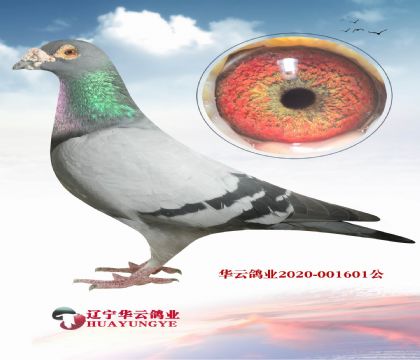 ϷῨʼһ400Xؐ˹c(din)N