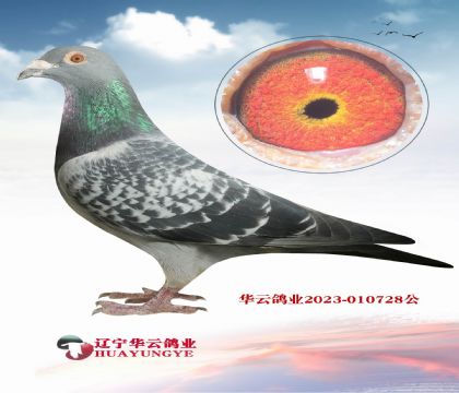 䌦(du) еı Ö| Ҋ