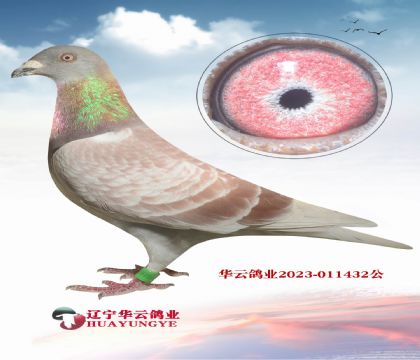 شꖡ˵˹740-(sh)(zhn)