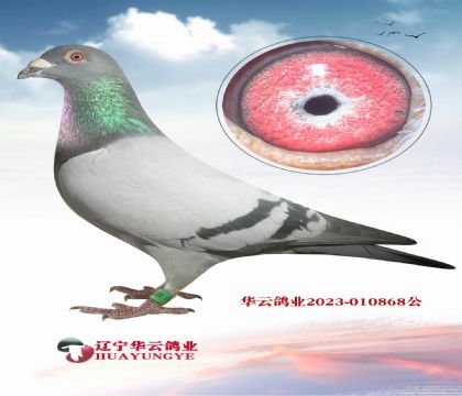 _Qِ4ֱXɶw شꖱ˵˹