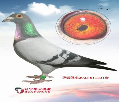 (hu)׌ڵѪϵ 峬(j)l(f)]oѪϵ