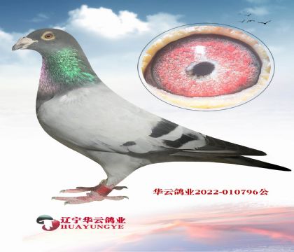 īƶɡȫֵX_(d)۴ơֱOXŮ