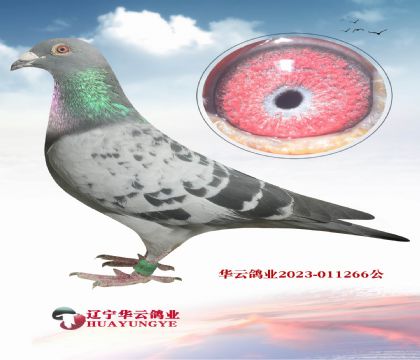 WԪֱXŮ ŮѪ Nr(ji)ֵǳǳǳ