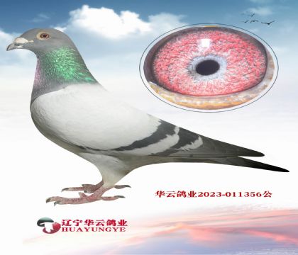 ķĸ107ֱXһ(hu)N