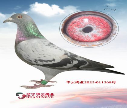 피(j)ǲˡX052Wĸr(ji)ֵǳߵķN