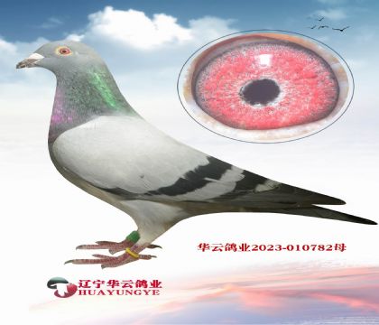 (j)ǲ ؐXSNƵ_ֱŮ
