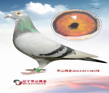ȫ(gu)ѶJ(rn)ѪѪϵwꡱ