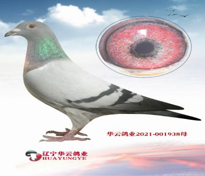 Ư?sh)ϡXmū fȫ