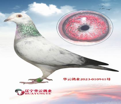 ٶѪϵ @﯂