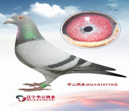īƶɡ778