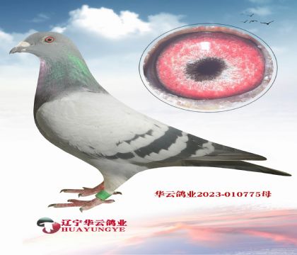 @(g)䌦(du)ܶλ(jing)