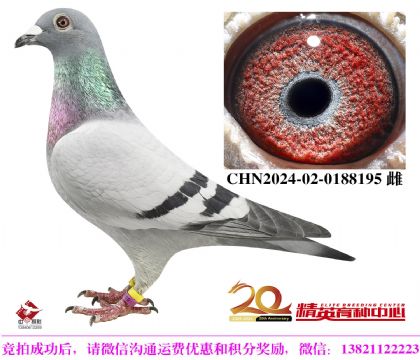 240ֱOŮ