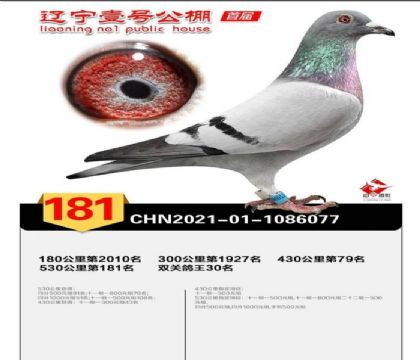 |1̖p30
