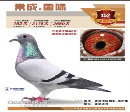 AI(y)LǇHQِ152