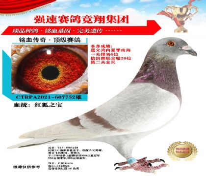 t֮ϺһP(gun)6