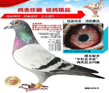 pˇg(sh)ҽHѪ