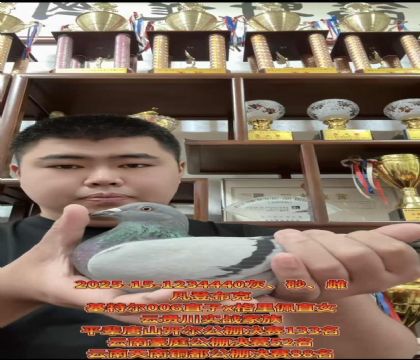 ǲˡWƥ006ֱX塱ֱŮ