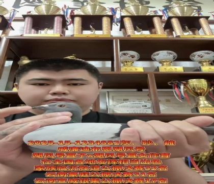 ϲZLֱ̖XZLֱ̖Ů