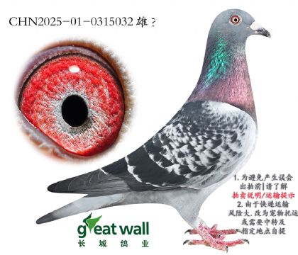 1.ŭO.0315032