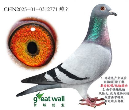 3.հӴ.0312771