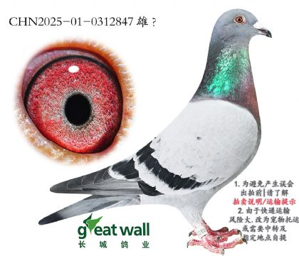 4._xʩ.0312847