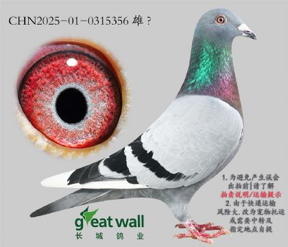 5.̖O.0315356