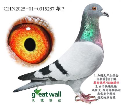 10.D˹003O.0315287
