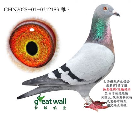 16.˹ZO.0312183