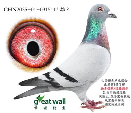 1.˹xѪϵ.0315113