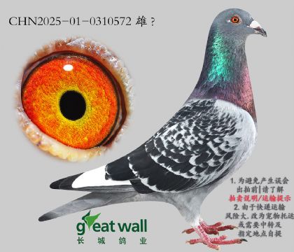 2.(j)xr(sh)Ѫϵ.0310572