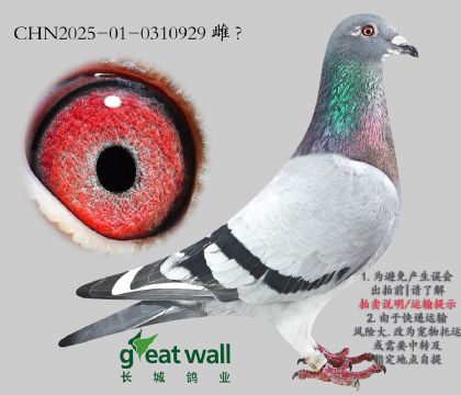 3.ꖹ⹫pP(gun)܊Ӵ.0310929