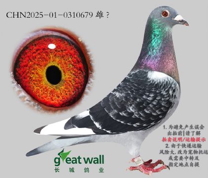 4.һ(g)O.0310679