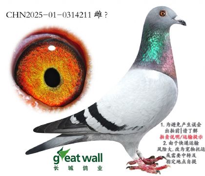 5.ұ Ӵ.0314211