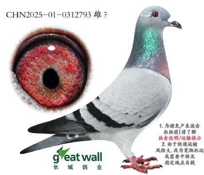 6.r(sh)911Ѫ.0312793
