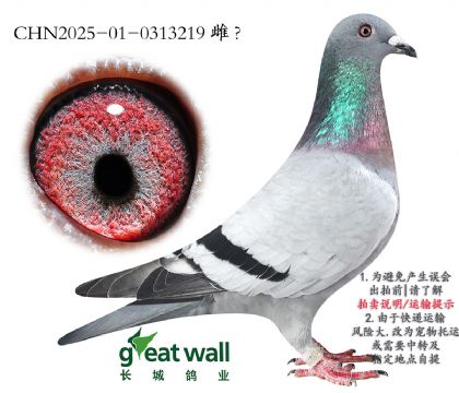 7._(d)900O.0313219