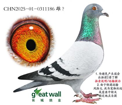 8.ϲӰǌO.0311186