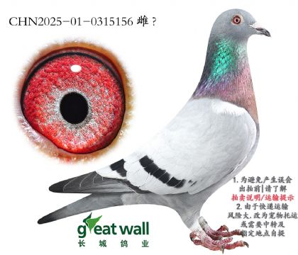 9.Ѫϵ.0315156