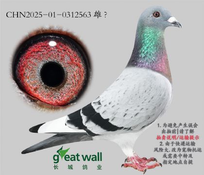10.¶ֱ804O.0312563