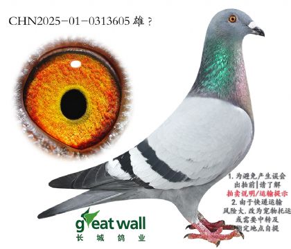 14.˹O.0313605