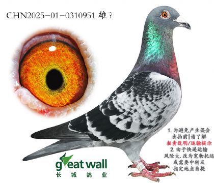 18.ȱݽѪ.0310951