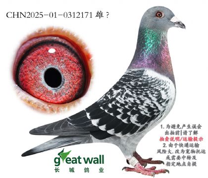 20.D˹Ѫ.0312171