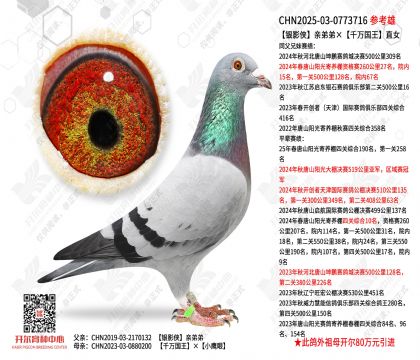 银影侠亲弟弟×千万国王直女