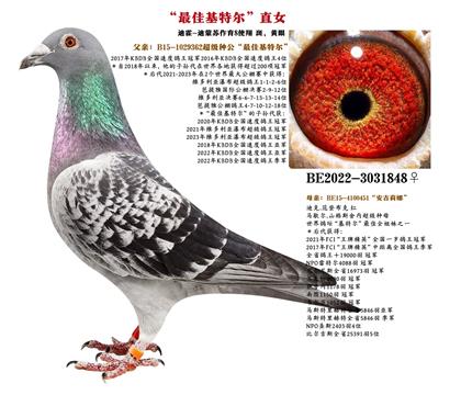父亲