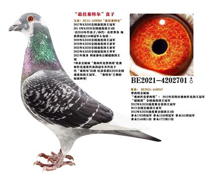 母亲