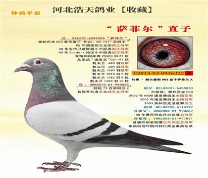 父亲