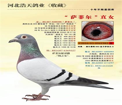 母亲
