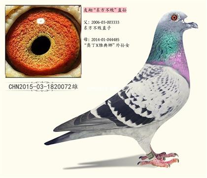 父亲