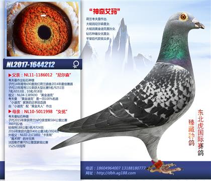 母亲