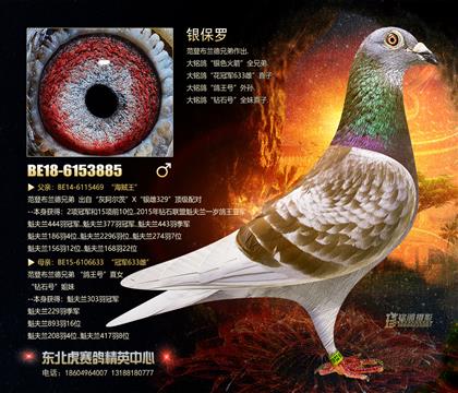 父亲